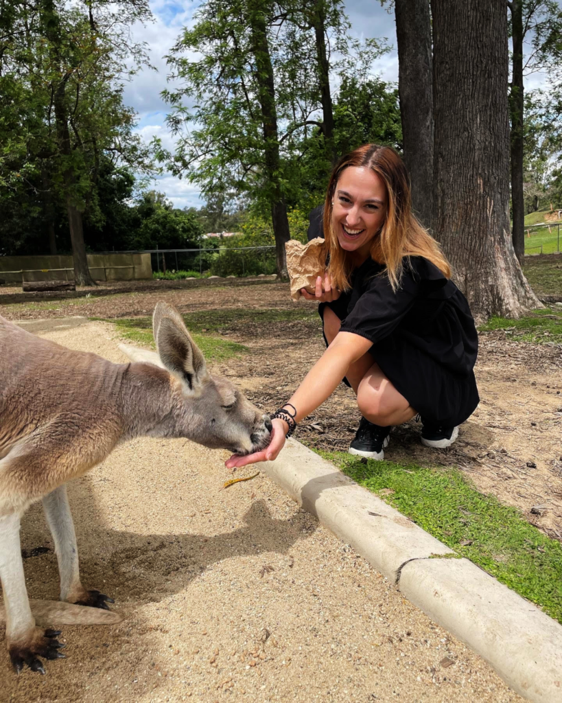 Girl feeding Kangaroos in Brisbane