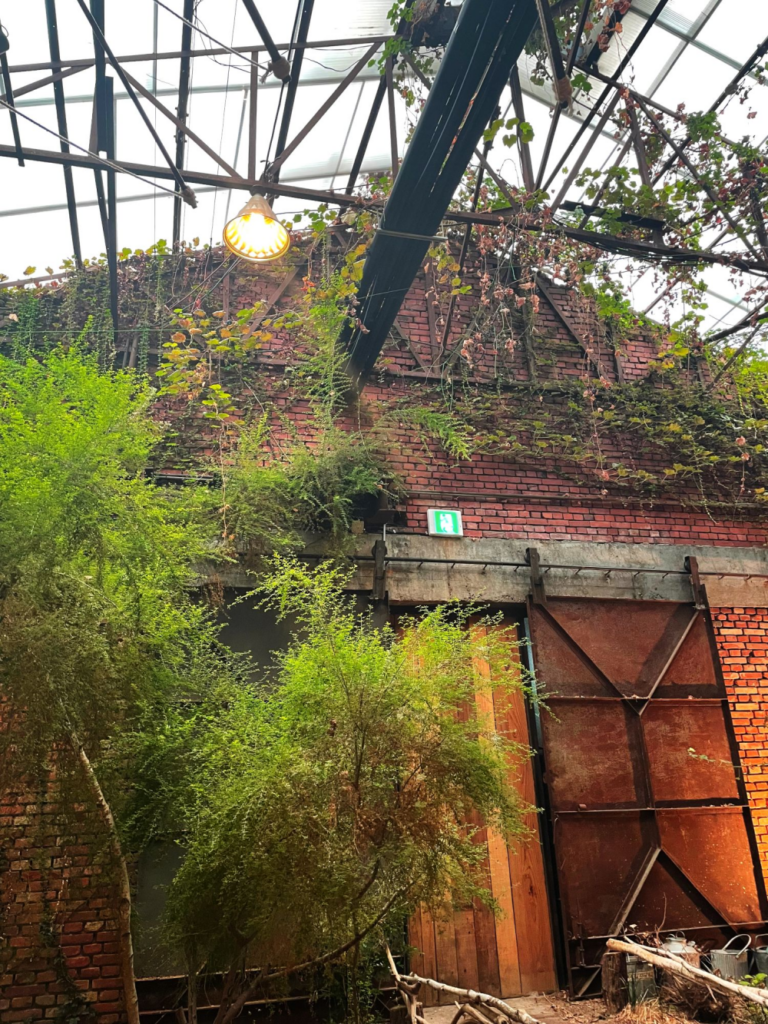 Trees at the Daerim Warehouse Cafe in Seongsu in Seoul