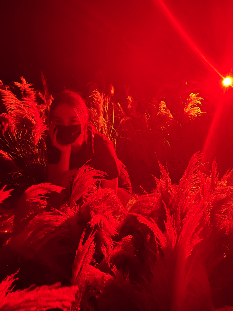 Girl sitting in an artificial wheat field at Sumsei Terrarium in Seoul.