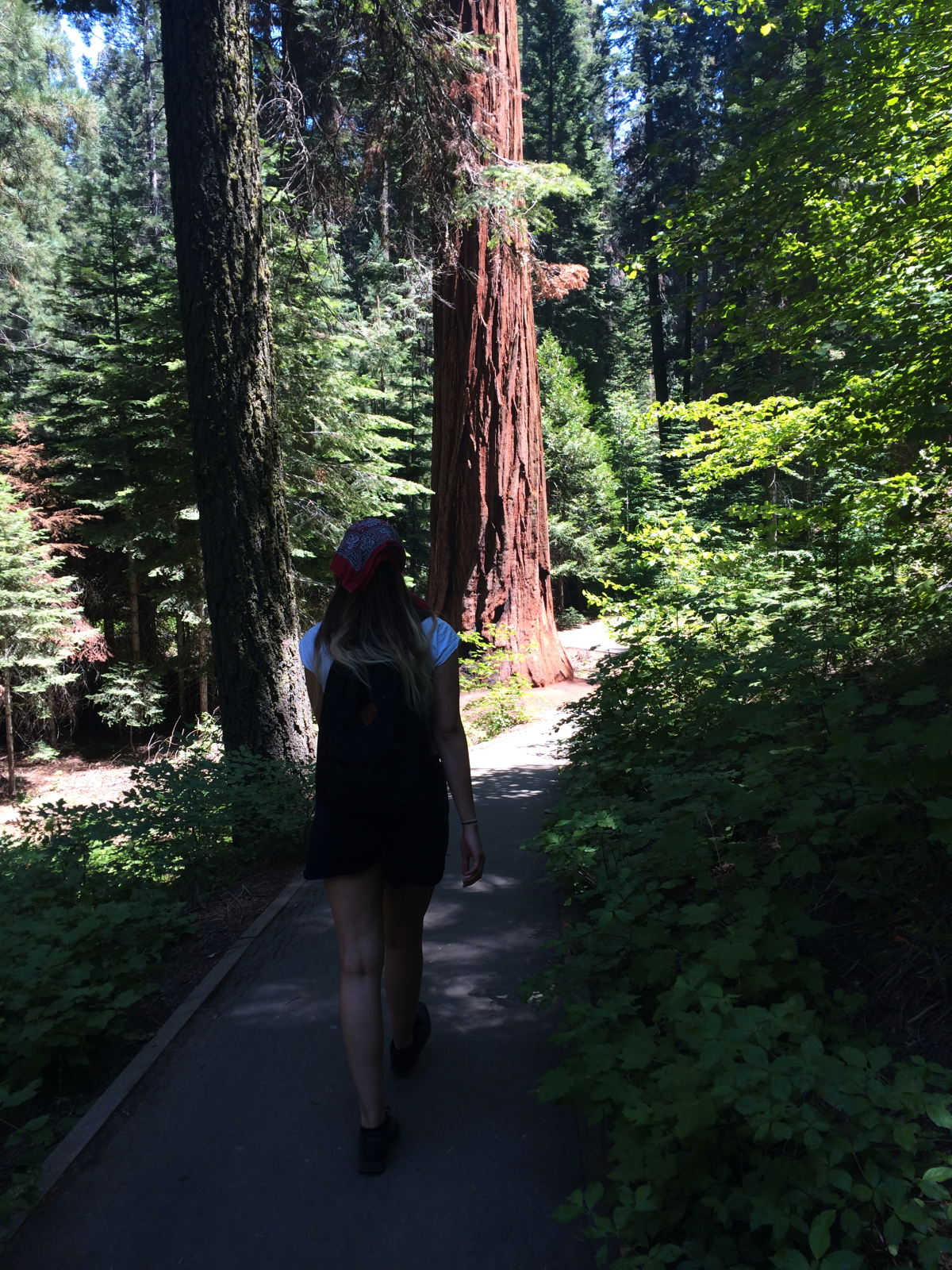 Girl walking in a redwood tree park